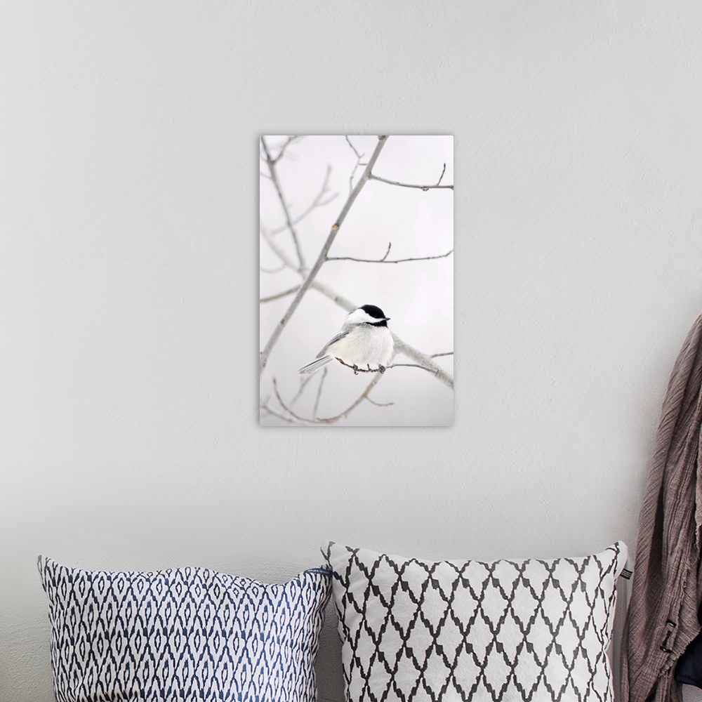 A bohemian room featuring Bird On A Branch
