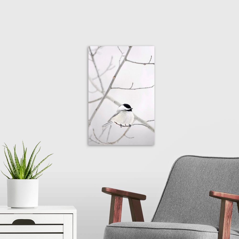 A modern room featuring Bird On A Branch