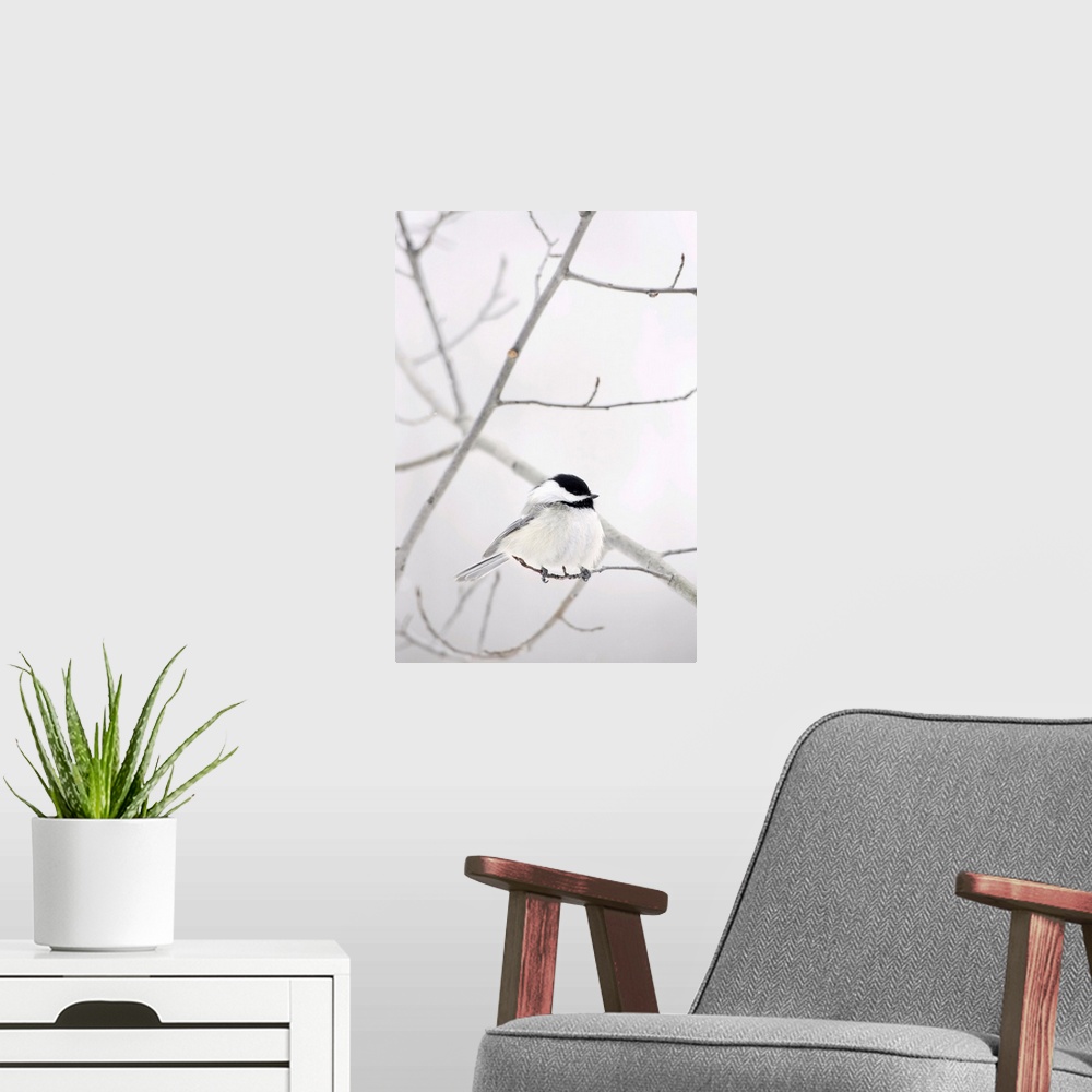A modern room featuring Bird On A Branch