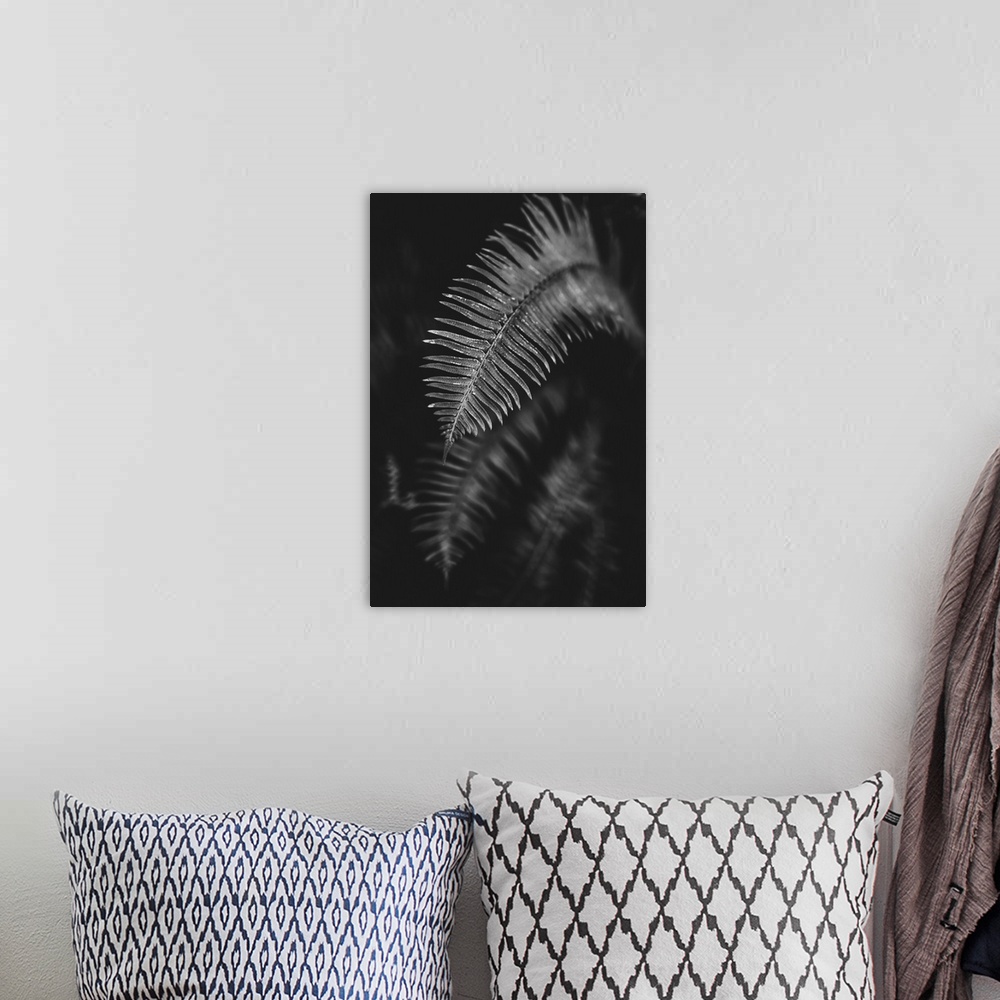 A bohemian room featuring Black and white image of a fern leaf; Vancouver, British Columbia, Canada