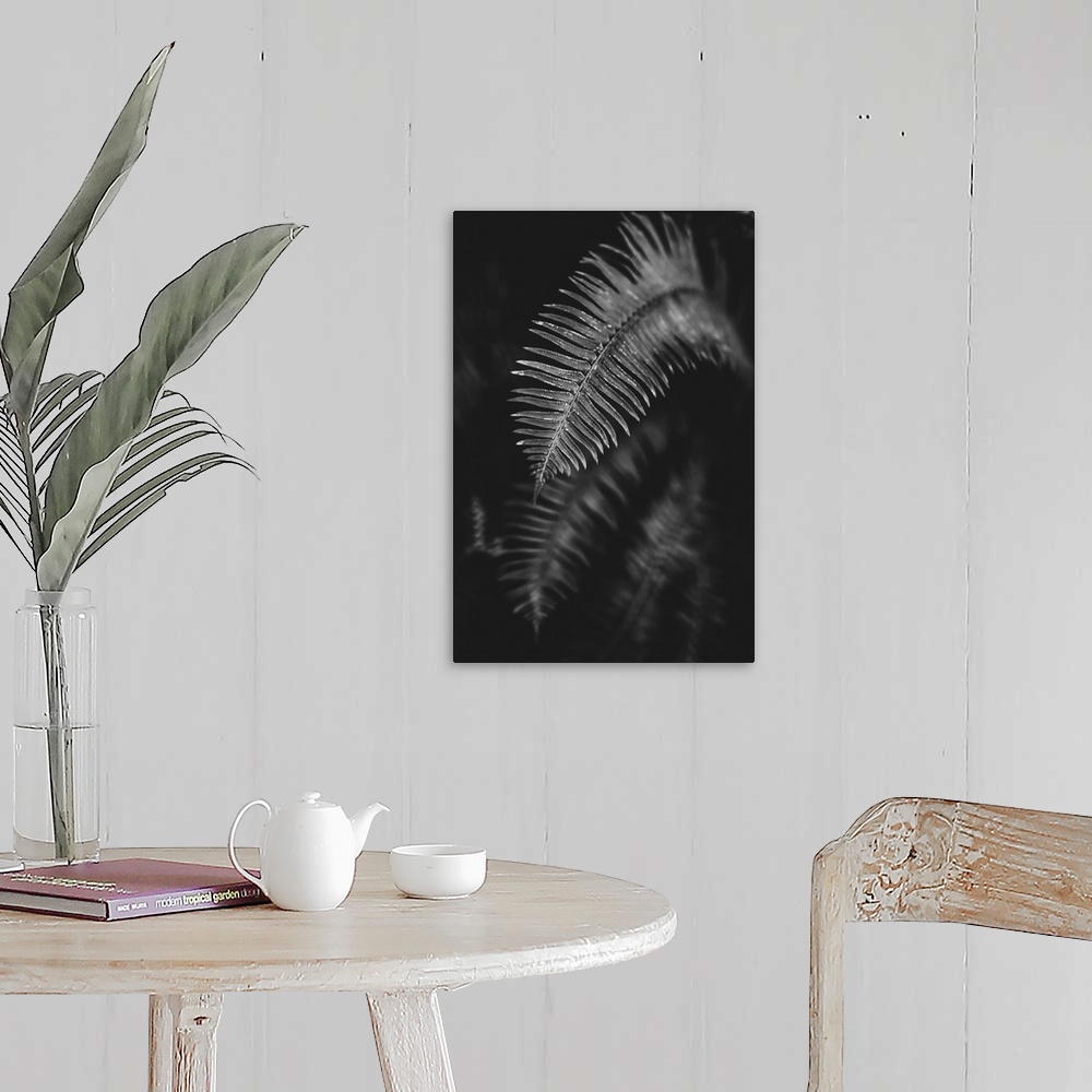 A farmhouse room featuring Black and white image of a fern leaf; Vancouver, British Columbia, Canada