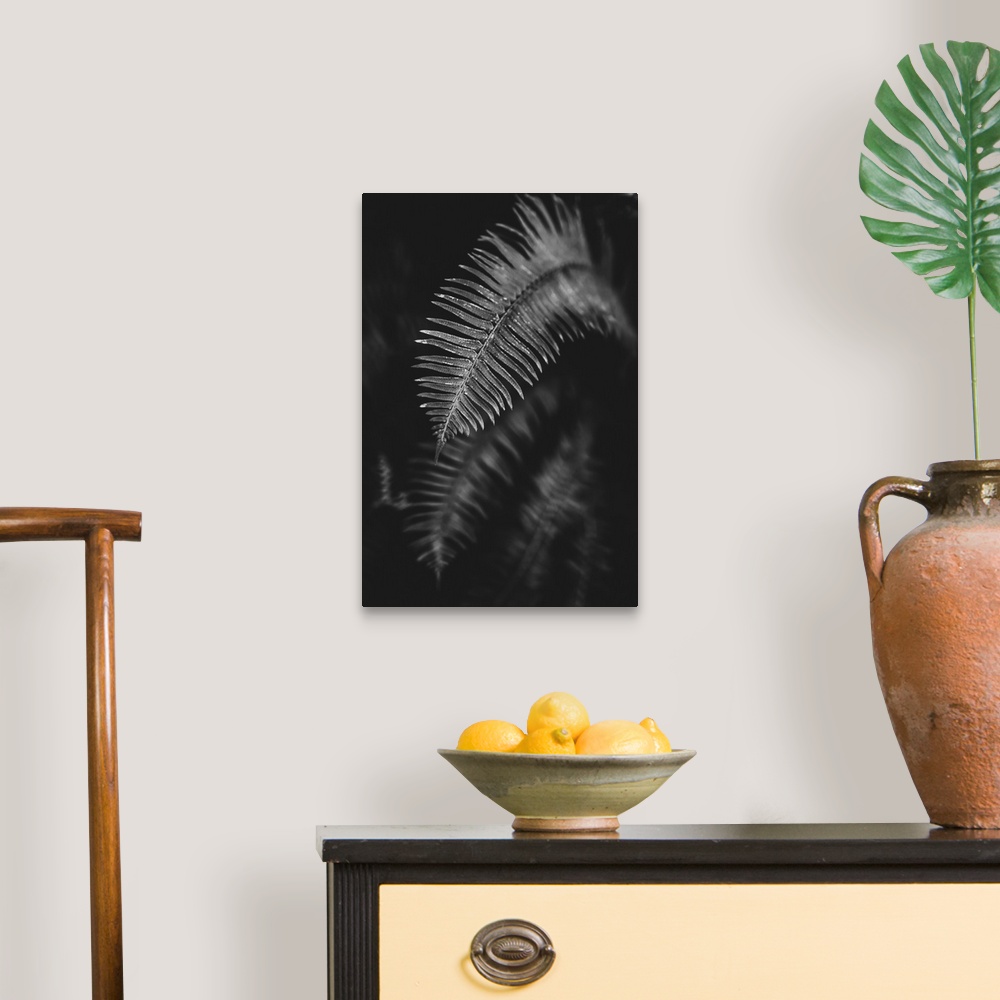 A traditional room featuring Black and white image of a fern leaf; Vancouver, British Columbia, Canada