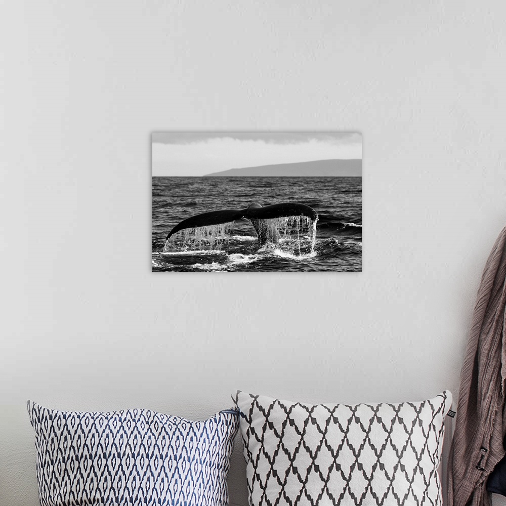 A bohemian room featuring Black and white photo of a humpback whale's tail.