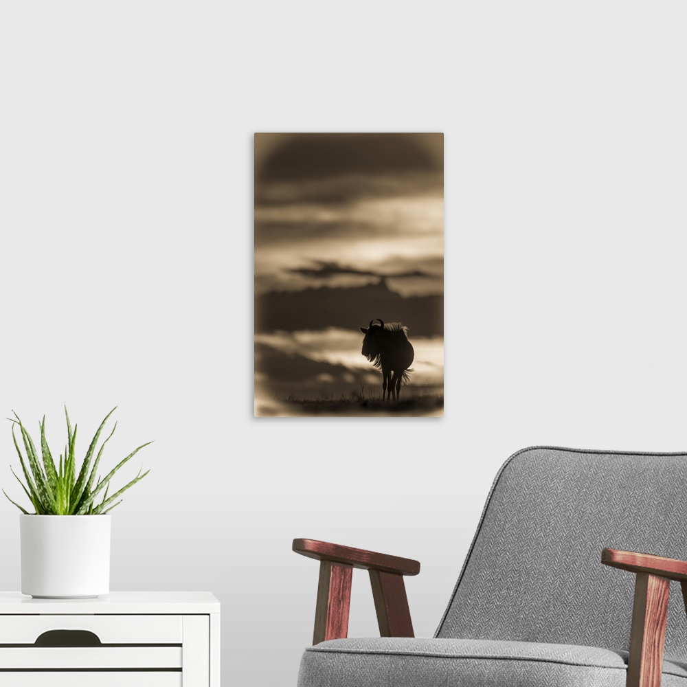 A modern room featuring A blue wildebeest (Connochaetes taurinus) on the horizon is silhouetted against a yellow and blac...