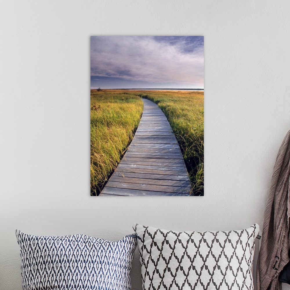 A bohemian room featuring Boardwalk Along The Salt Marsh, New Brunswick, Canada