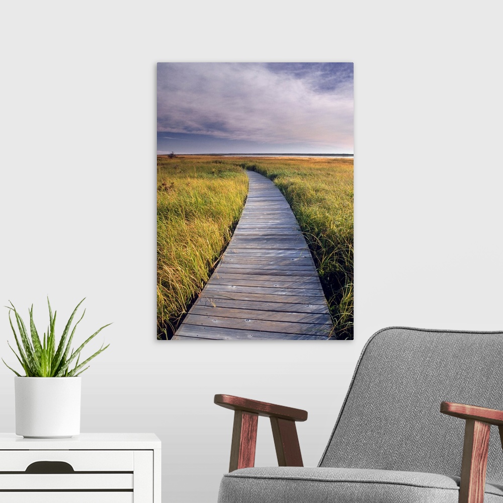 A modern room featuring Boardwalk Along The Salt Marsh, New Brunswick, Canada