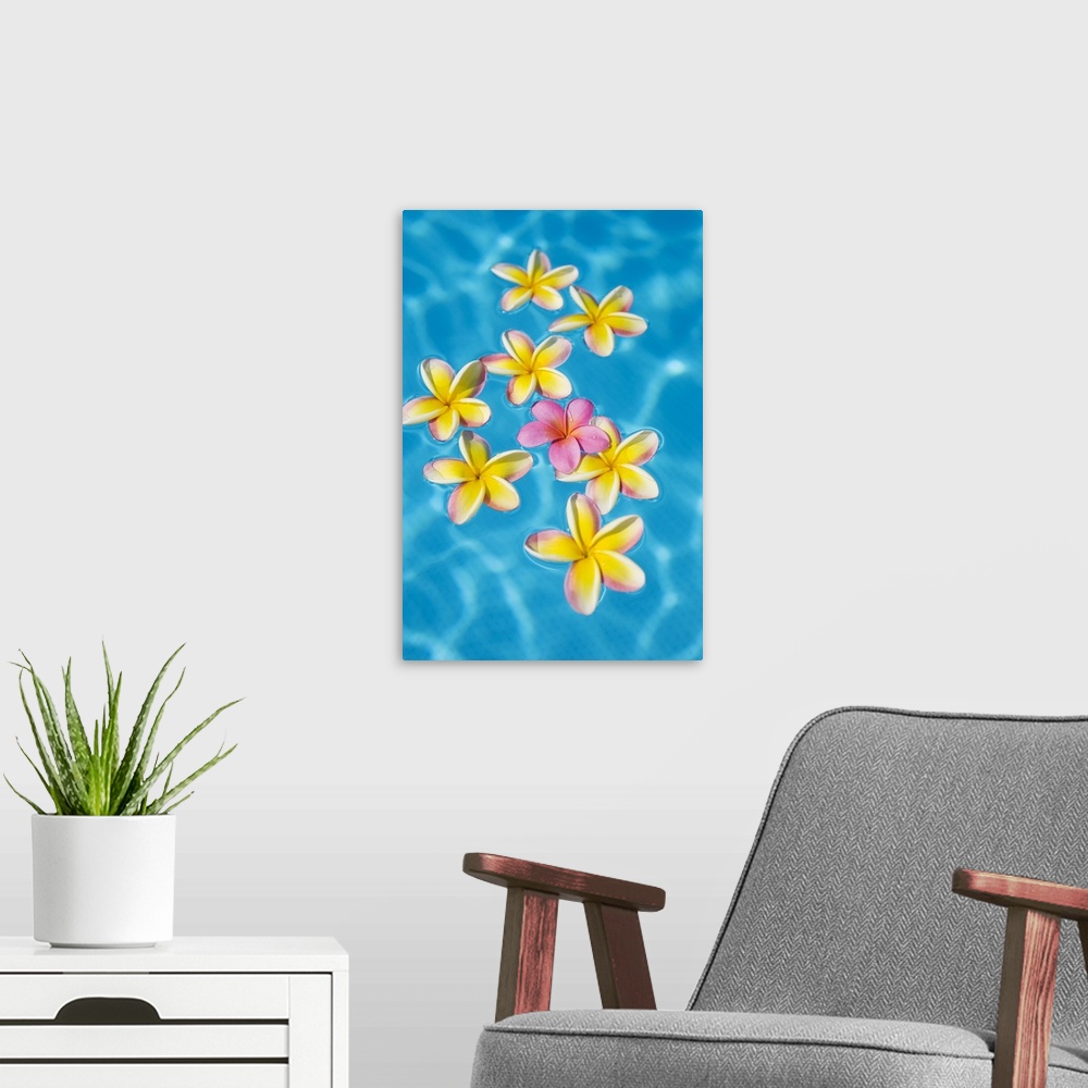 A modern room featuring Bright Yellow Plumeria's Floating Around One Pink One In Turquoise Water
