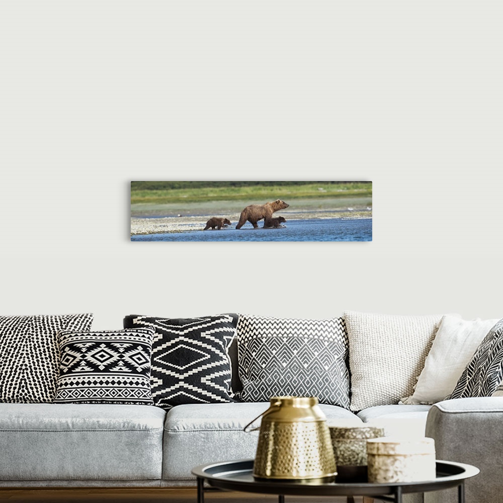A bohemian room featuring Panoramic Of Brown Bear Sow And Cubs On The Shore Of Mikfik Creek, Mcneil River State Game Sanctu...