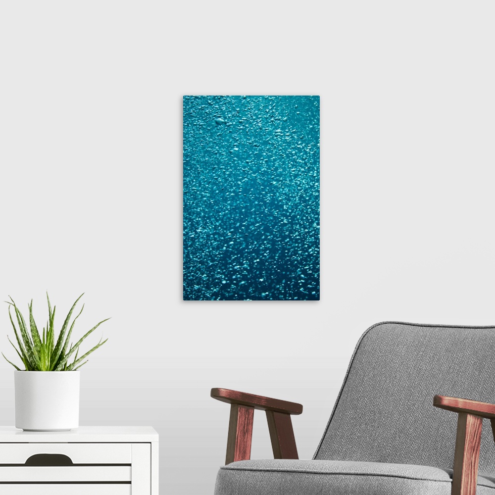 A modern room featuring Bubbles Underwater