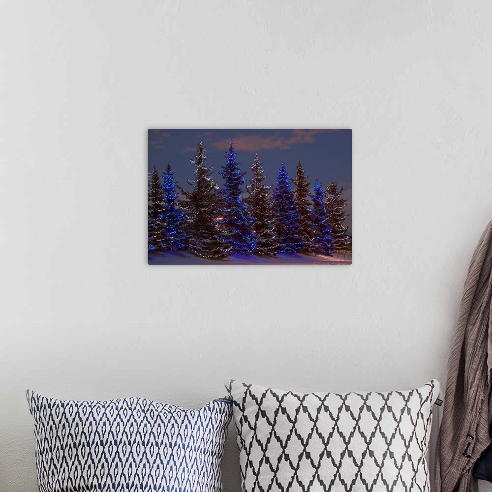 A bohemian room featuring Calgary, Alberta, Canada, A Row Of Evergreen Trees With Christmas Lights