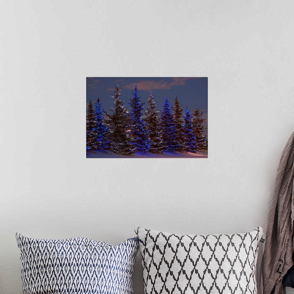A bohemian room featuring Calgary, Alberta, Canada, A Row Of Evergreen Trees With Christmas Lights