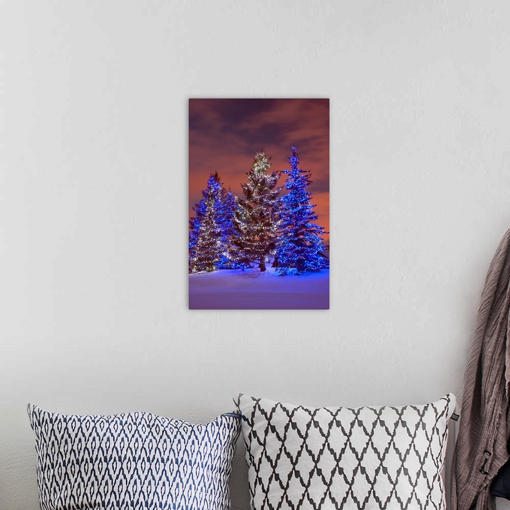A bohemian room featuring Calgary, Alberta, Canada, Christmas Lights On Evergreen Trees At Sunset