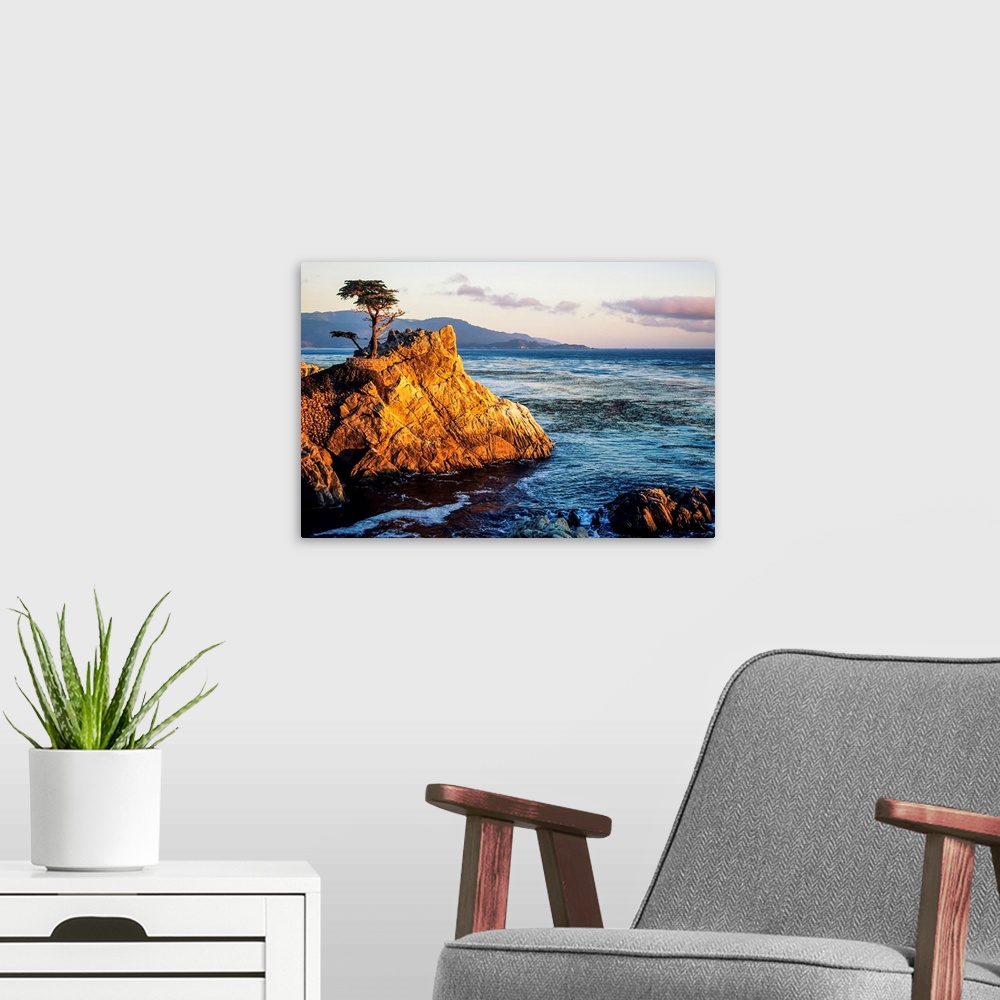 A modern room featuring California, Big Sur Coast, Pebble Beach, Lone Cypress Tree And Rugged Rock