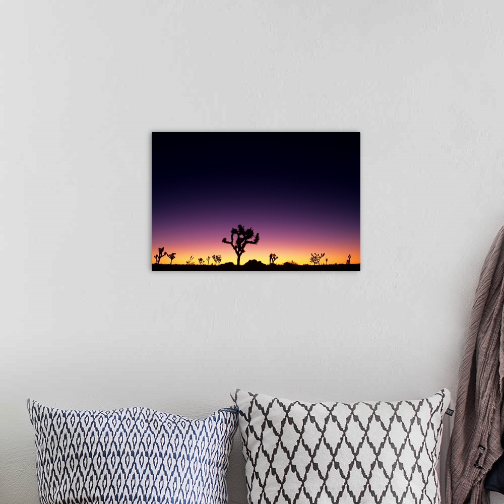 A bohemian room featuring California, Mojave Desert, Joshua Tree National Park, Joshua Trees Silhouetted At Dawn