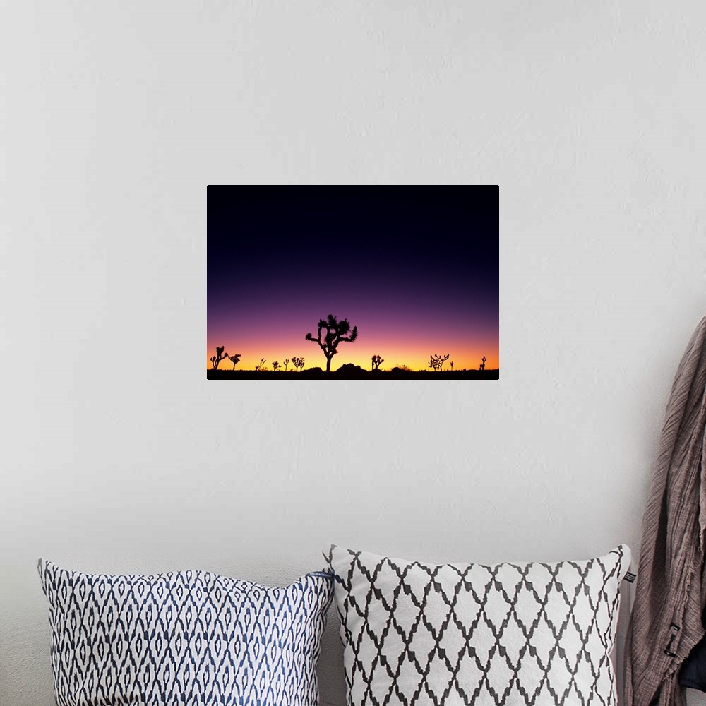 A bohemian room featuring California, Mojave Desert, Joshua Tree National Park, Joshua Trees Silhouetted At Dawn