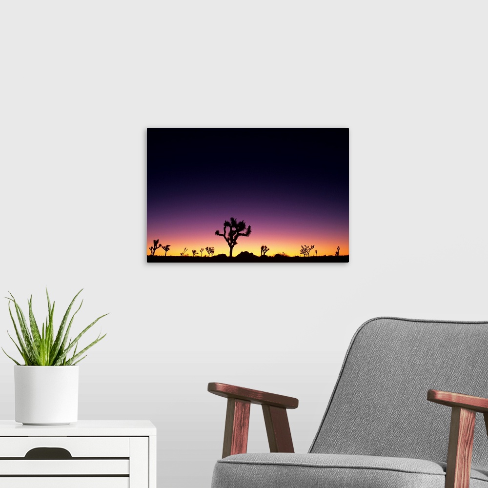 A modern room featuring California, Mojave Desert, Joshua Tree National Park, Joshua Trees Silhouetted At Dawn