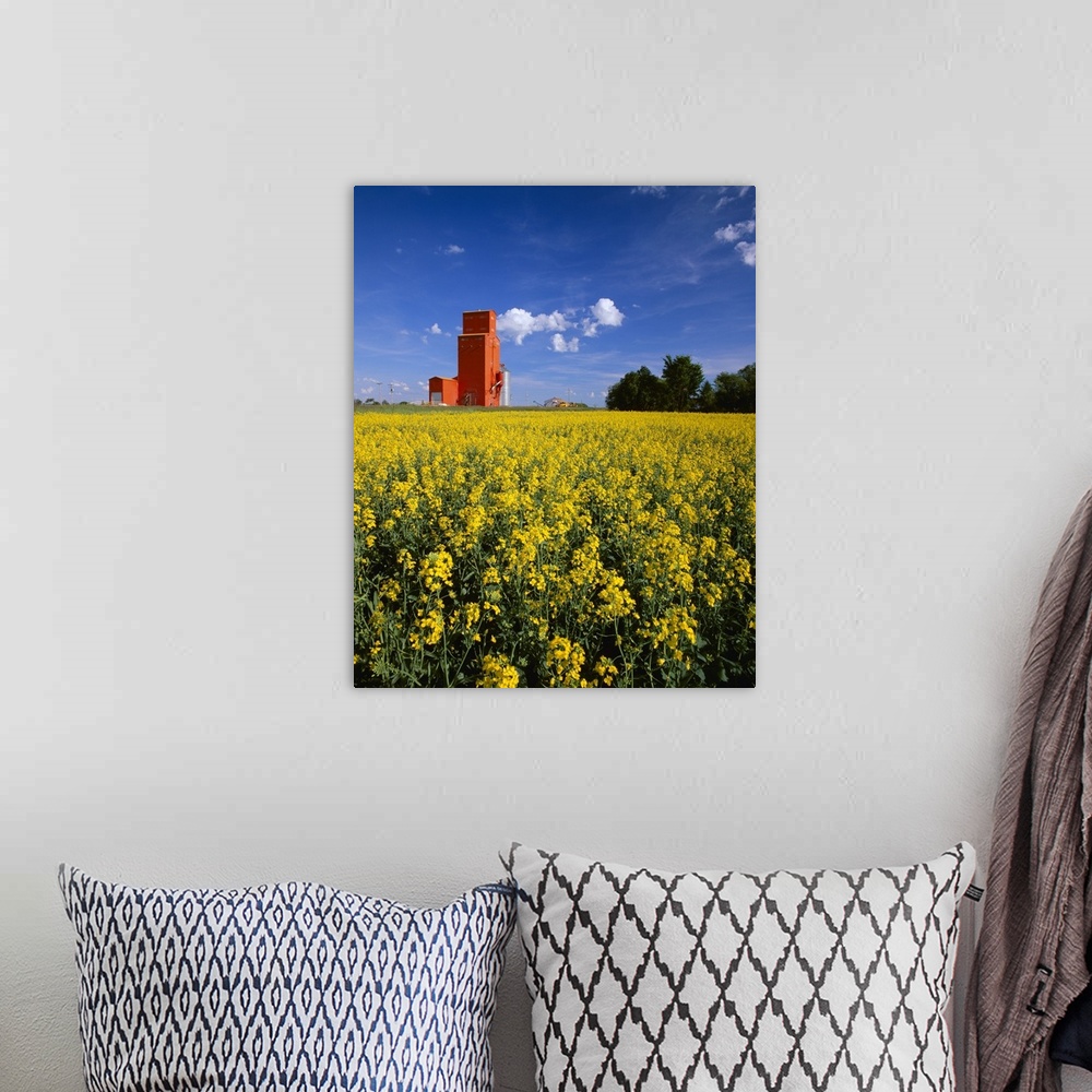 A bohemian room featuring Canola field in full bloom with a red grain elevator