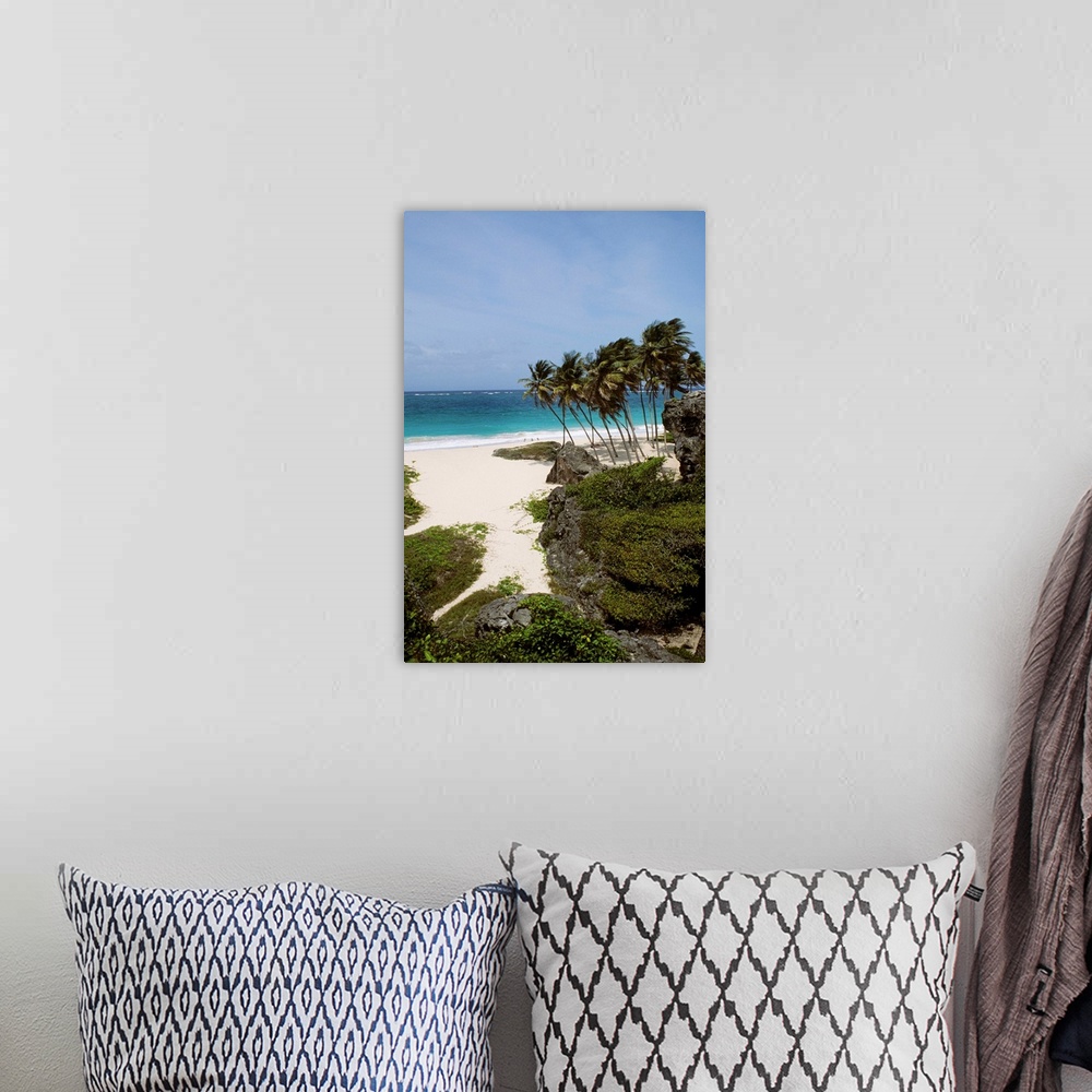 A bohemian room featuring Caribbean, Barbados, Bottom Bay, Landscape Of Tropical White Sand