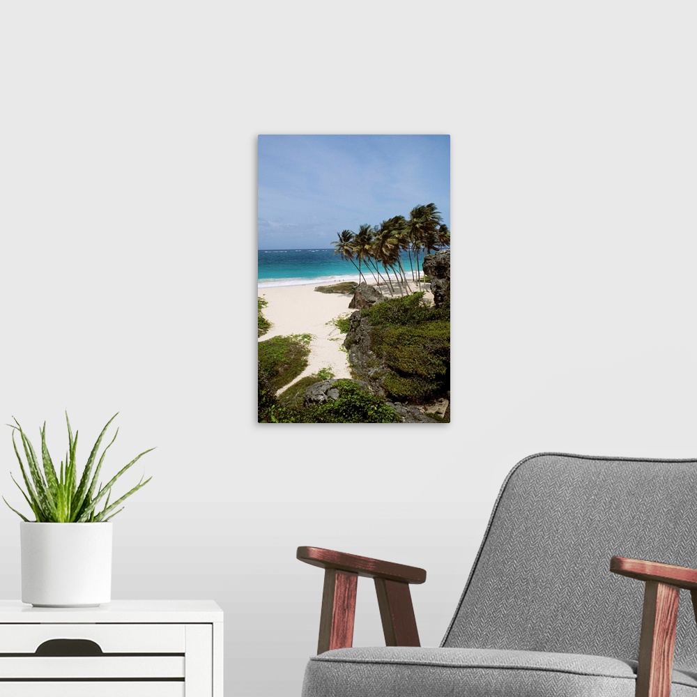 A modern room featuring Caribbean, Barbados, Bottom Bay, Landscape Of Tropical White Sand