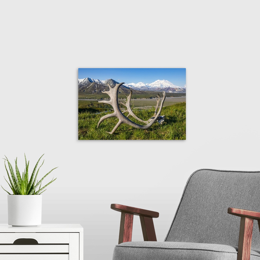 A modern room featuring Caribou antlers sit on the grass in the foreground with a view of Denali and the Eielson Visitor ...