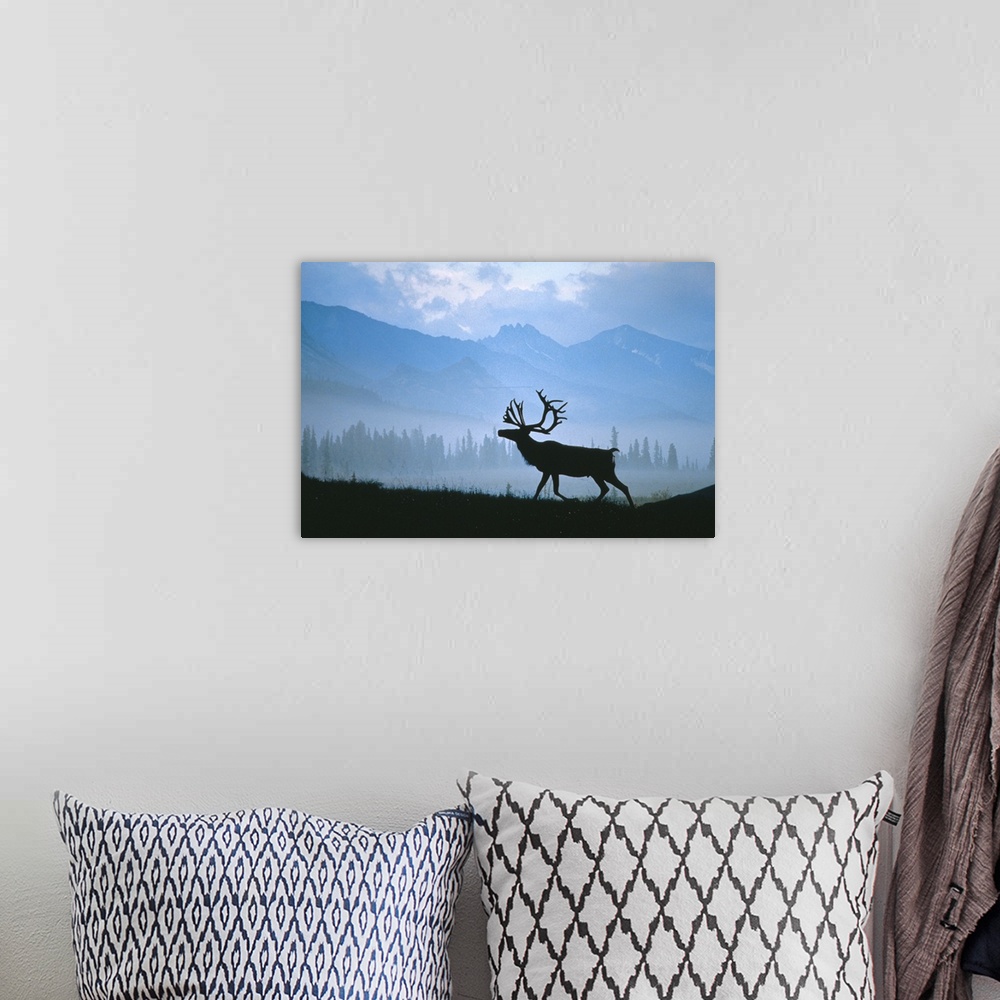 A bohemian room featuring Caribou Walking Denali Natl Park Fog Alaska Composite