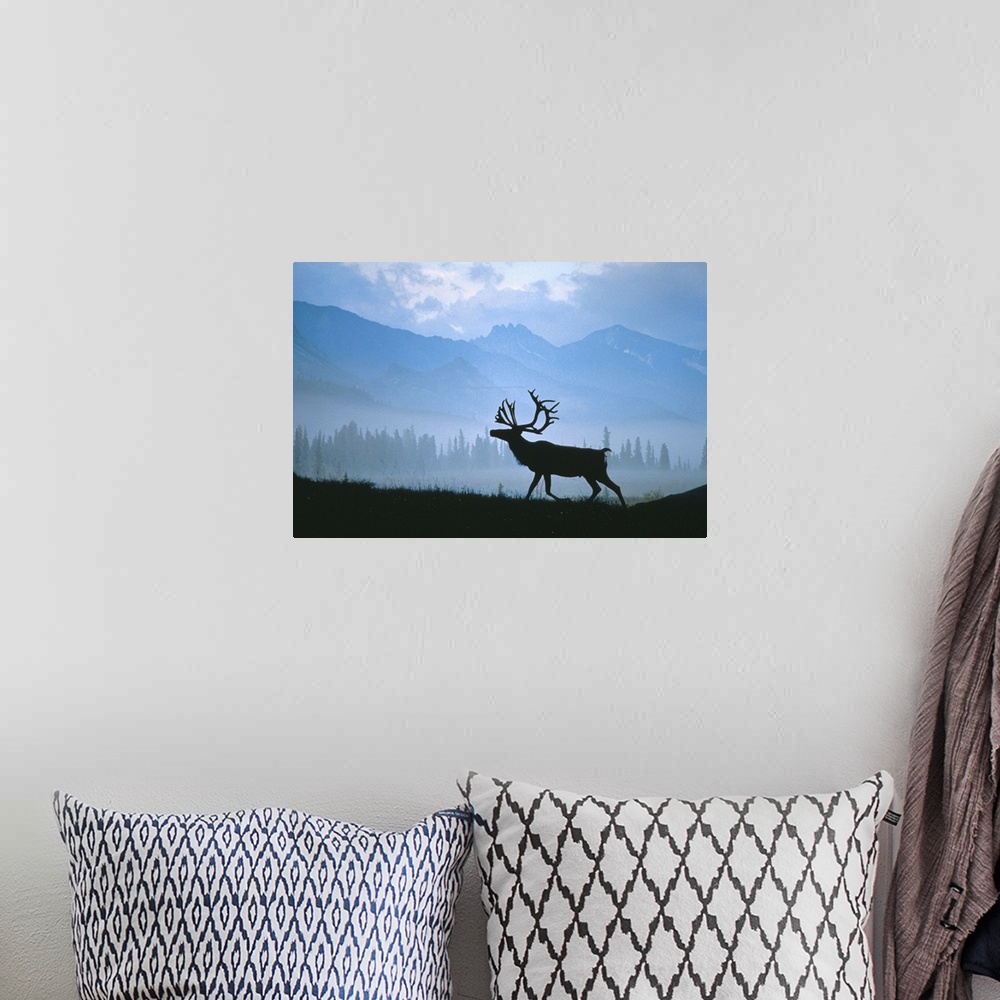 A bohemian room featuring Caribou Walking Denali Natl Park Fog Alaska Composite