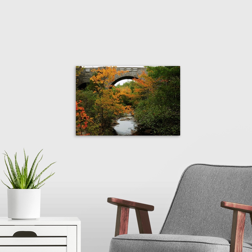 A modern room featuring Carriage road bridge at Duck Brook in Acadia National Park.