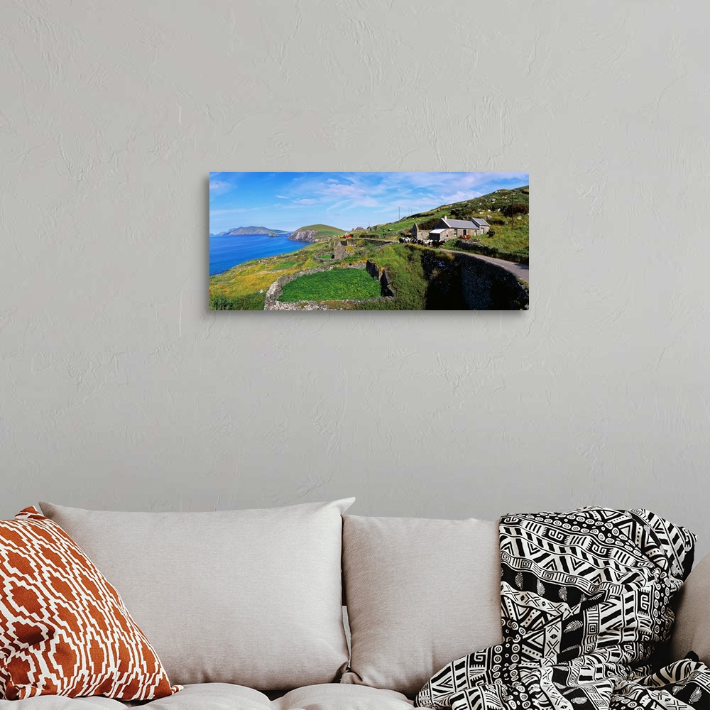 A bohemian room featuring Cattle On The Road, Slea Head, Dingle Peninsula, Republic Of Ireland