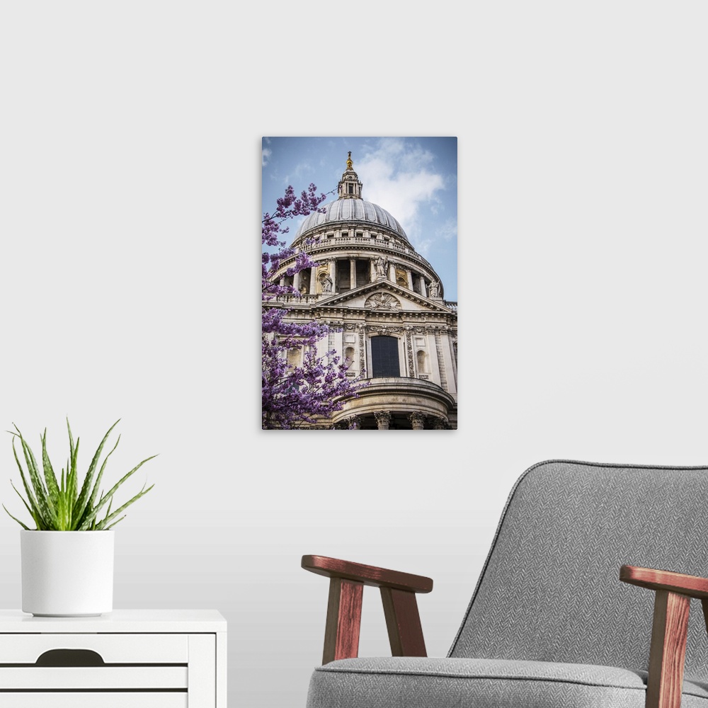 A modern room featuring A Cherry Blossom Tree Blooms Beautiful Pink Flowers In Front Of St. Paul's Cathedral; London, Eng...