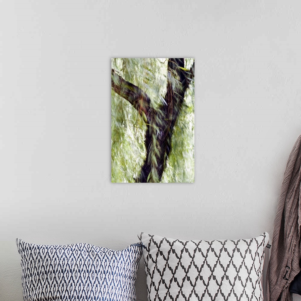 A bohemian room featuring China, Beijing, Impressionistic Wind Blown Tree