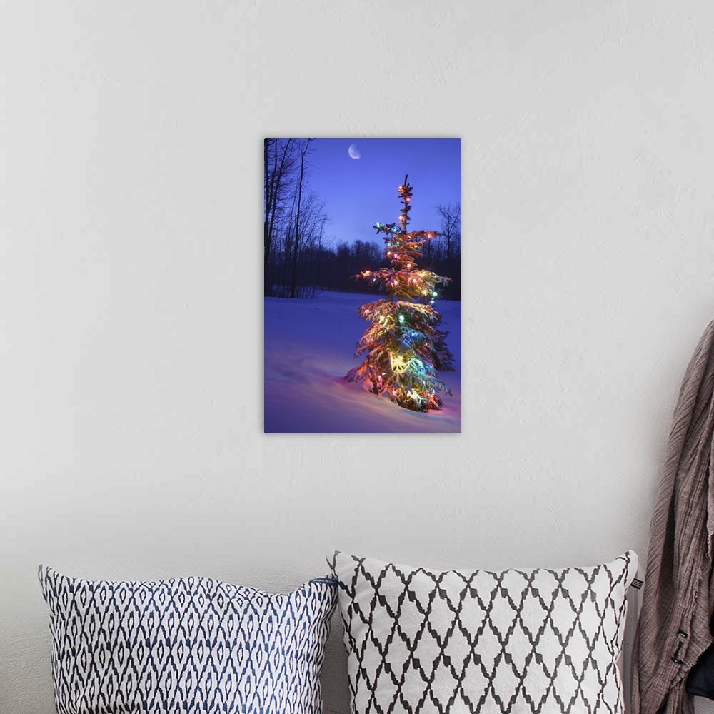 A bohemian room featuring Christmas Tree Outdoors Under Moonlight