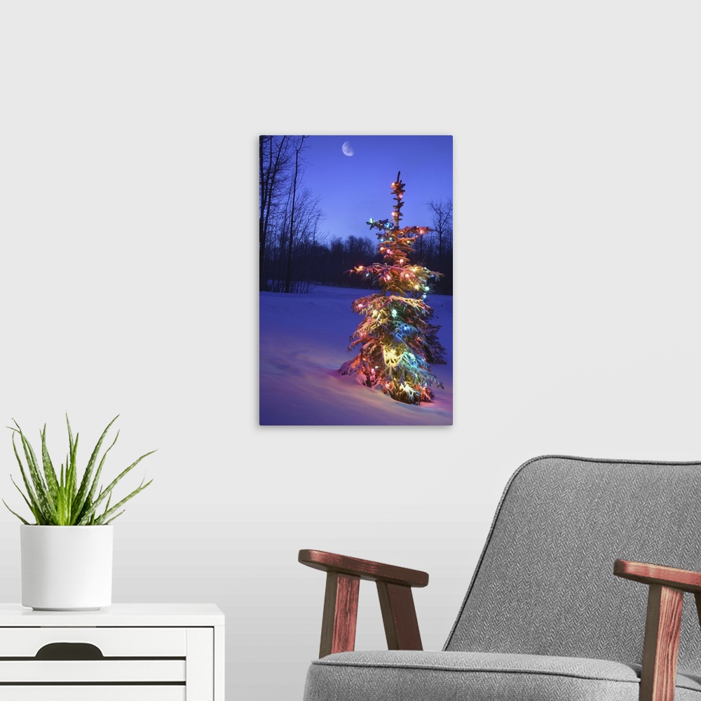 A modern room featuring Christmas Tree Outdoors Under Moonlight