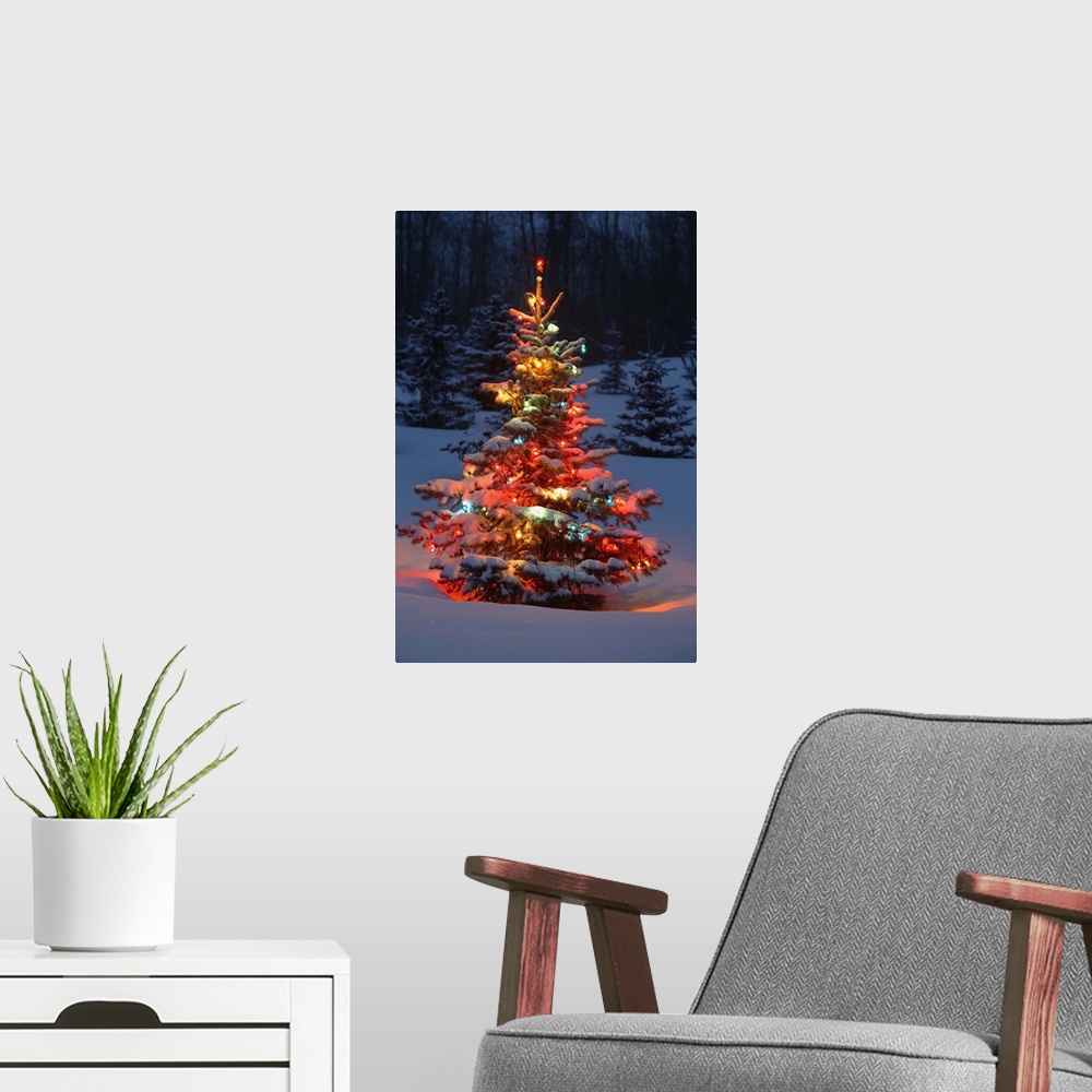 A modern room featuring Christmas Tree With Lights Outdoors In The Forest