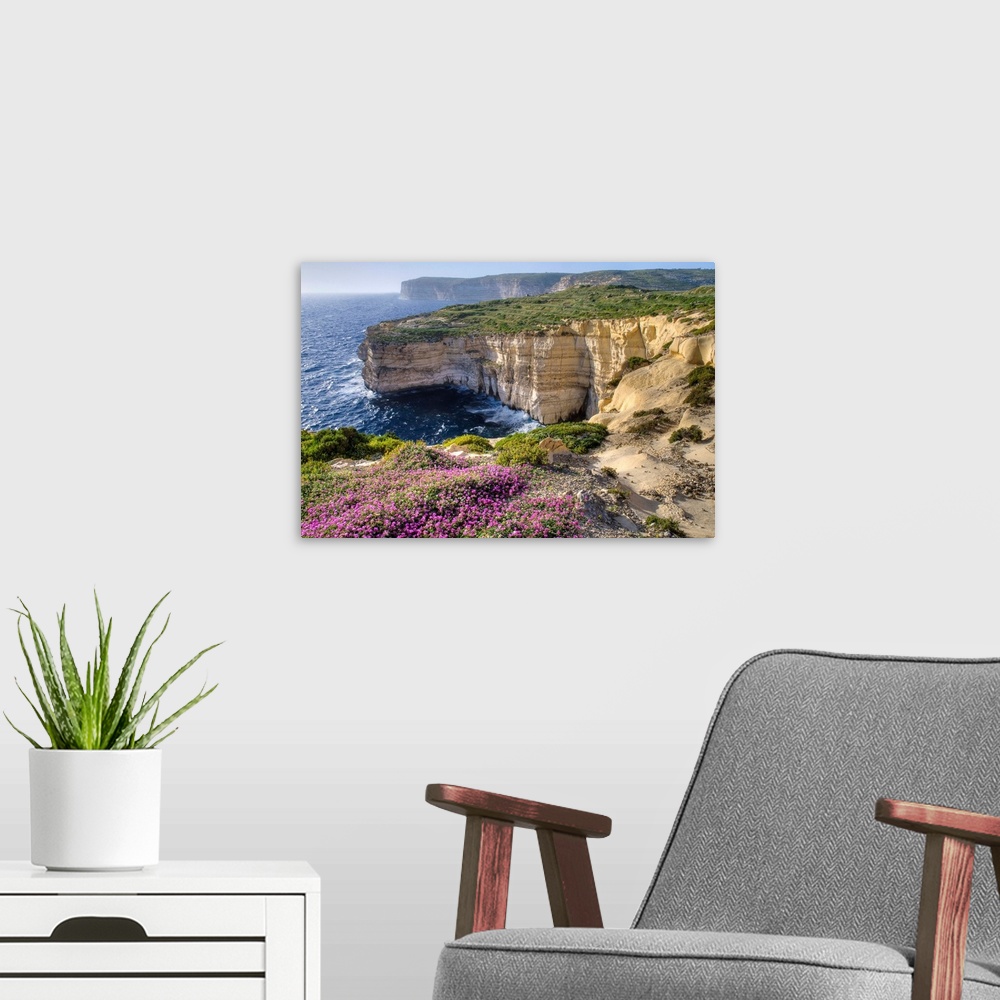 A modern room featuring Cliffs Along Ocean With Wildflowers