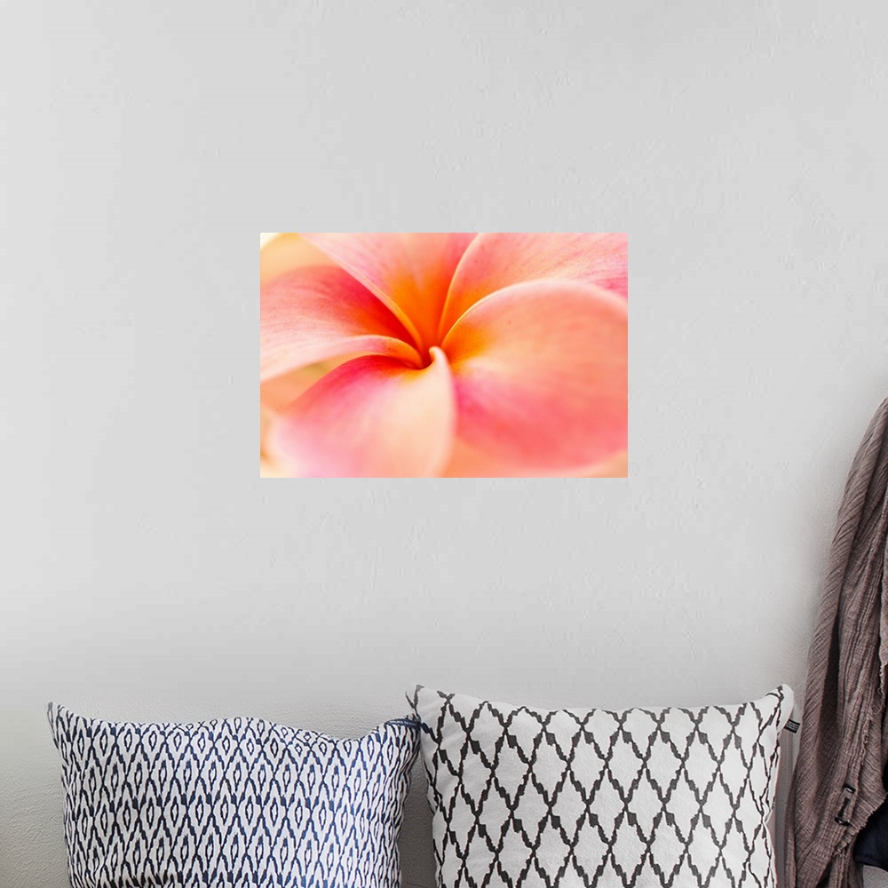 A bohemian room featuring This nature photograph shows the center of a tropical flower blossom and a soft focus on its oute...