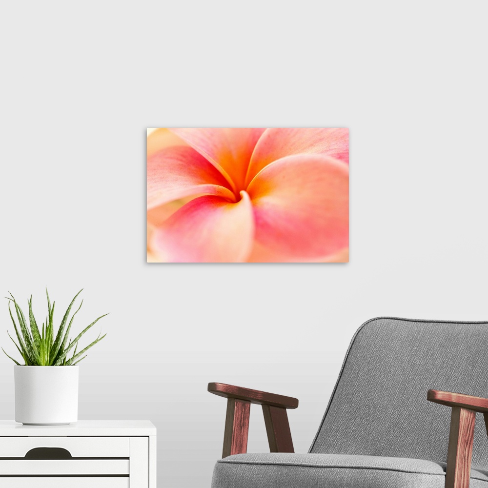A modern room featuring This nature photograph shows the center of a tropical flower blossom and a soft focus on its oute...