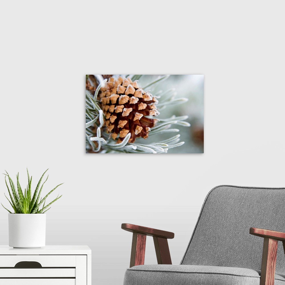 A modern room featuring This horizontal photograph is a detailed nature photograph with a shallow depth of field.