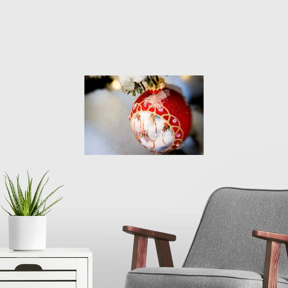 A modern room featuring Close up of a Christmas ornament hanging on a snowcovered branch outdoors during winter