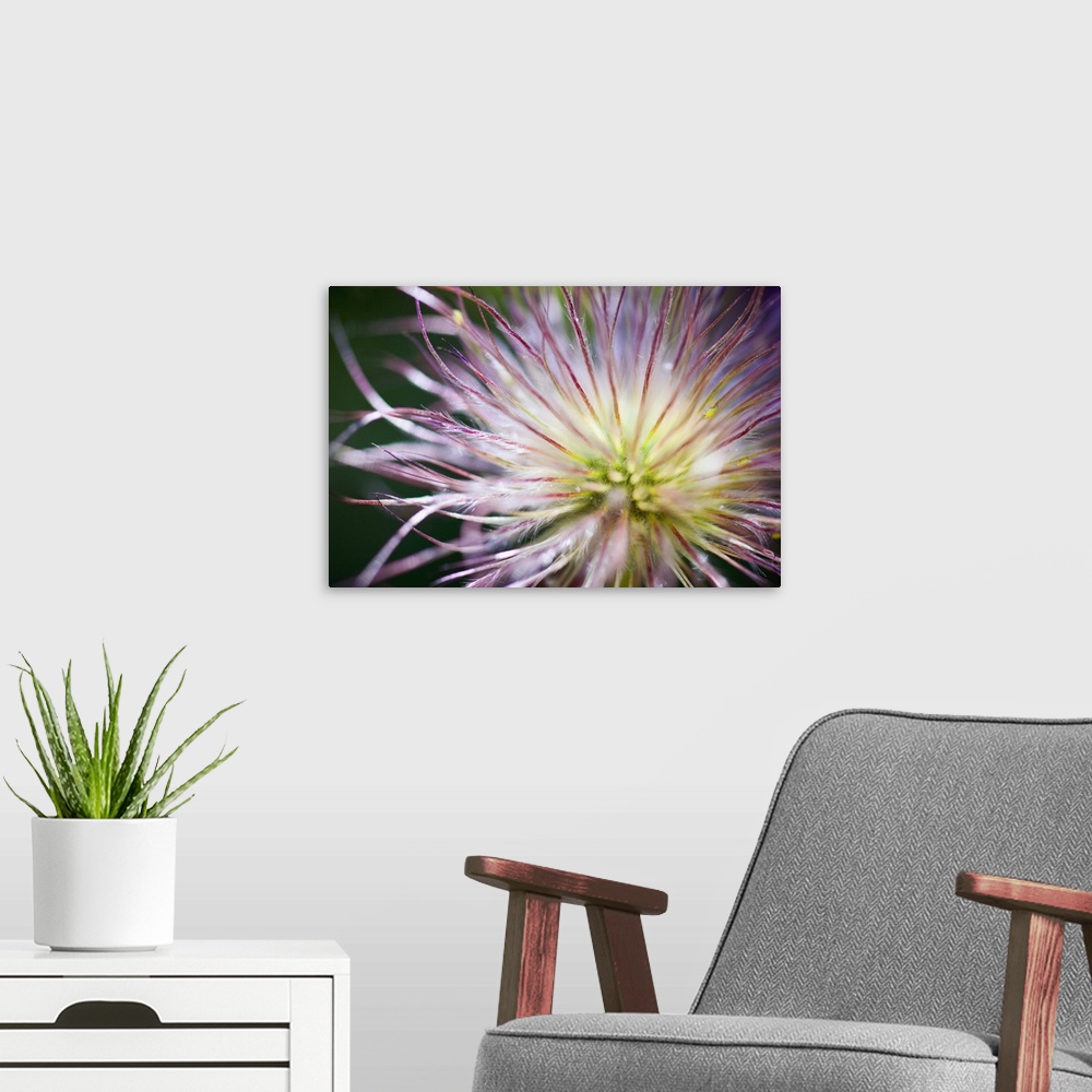 A modern room featuring Close-Up Of A Flower