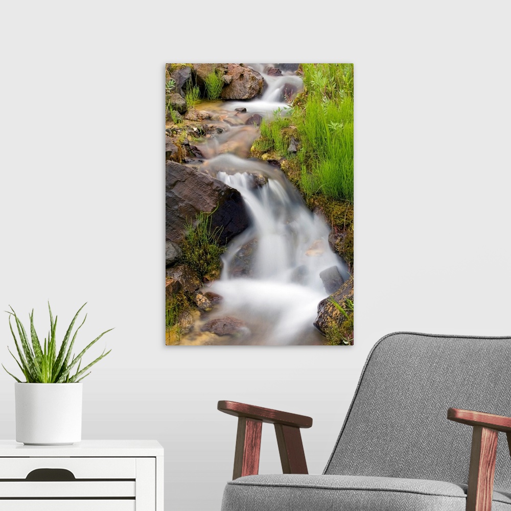 A modern room featuring Vertical canvas print of a stream washing down a hill through rocks.