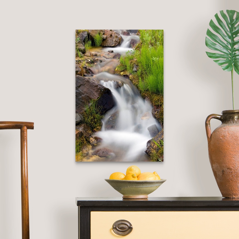 A traditional room featuring Vertical canvas print of a stream washing down a hill through rocks.