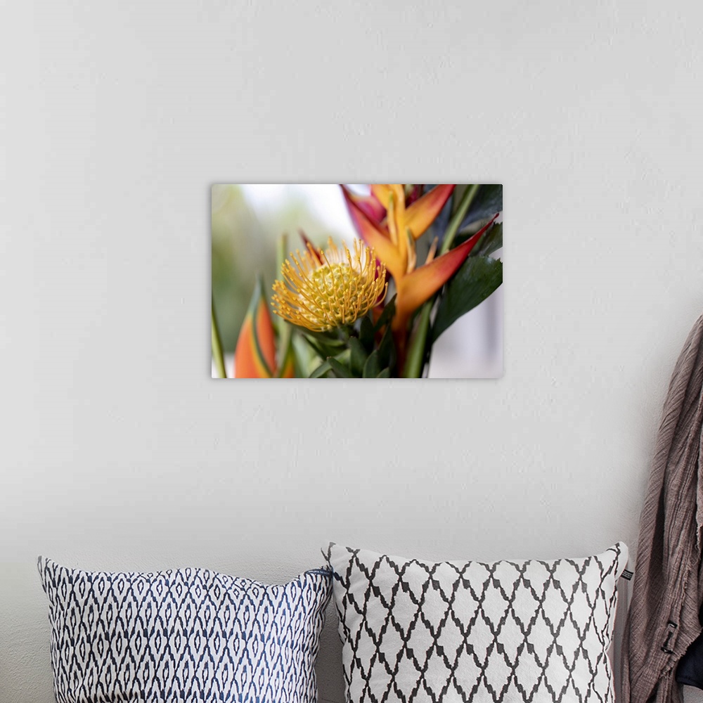 A bohemian room featuring Close-Up Of A Yellow Pincushion Protea And Yellow And Orange Heliconia Flowers