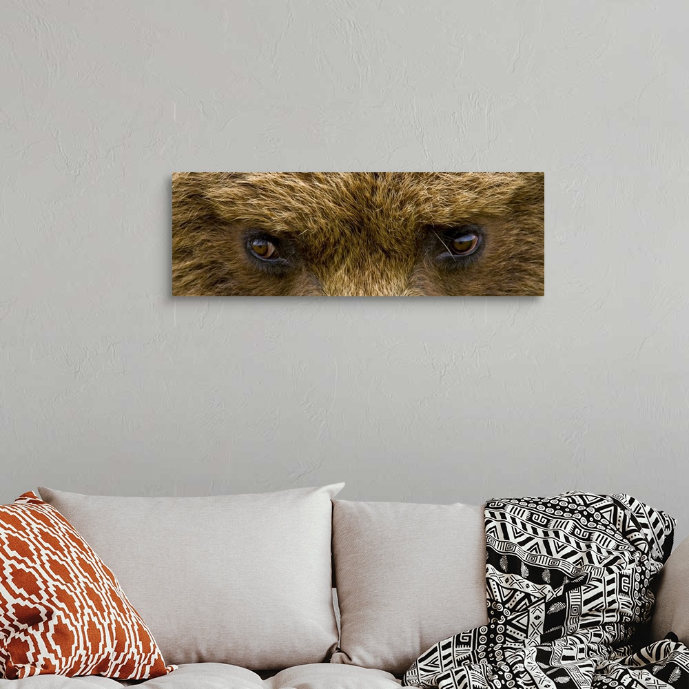 A bohemian room featuring A panoramic photograph taken very closely of just a brown bears eyes.