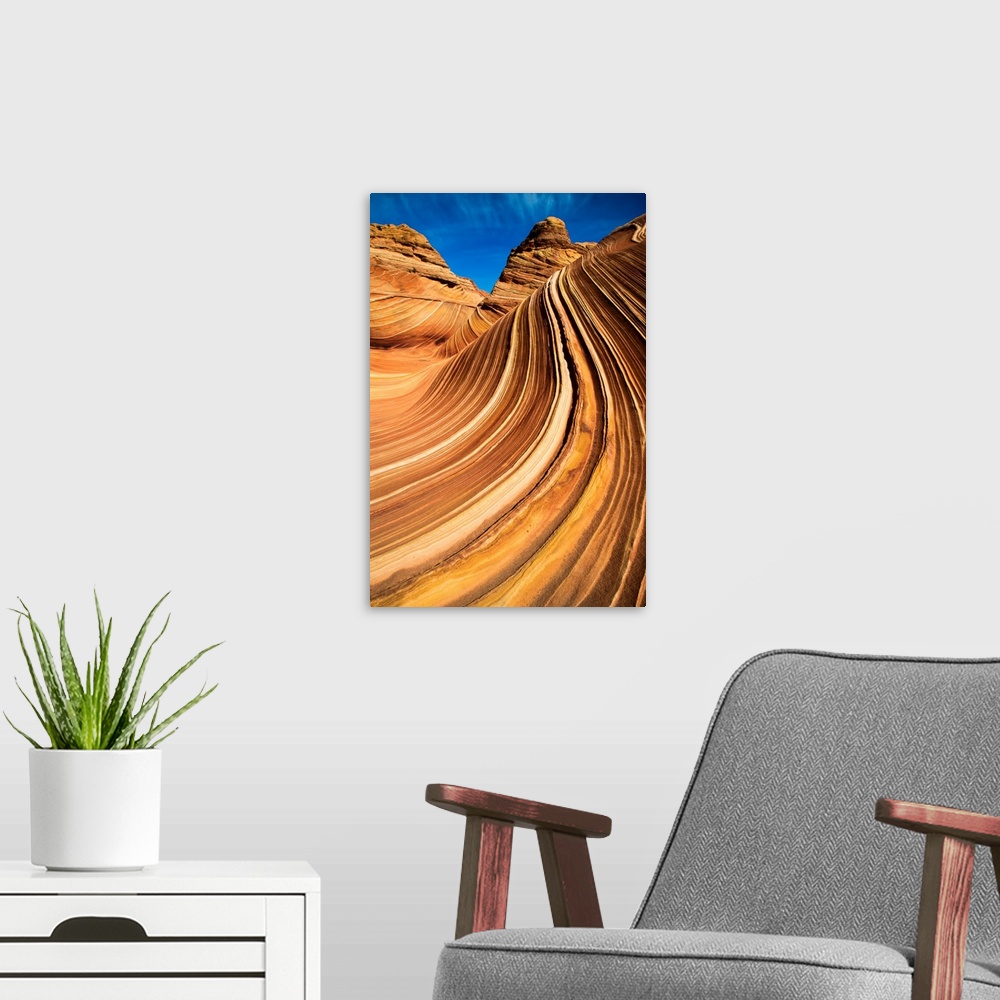 A modern room featuring Close-up of The Wave, colorful sandstone rock formation of the Coyote Buttes in the Paria Canyon-...
