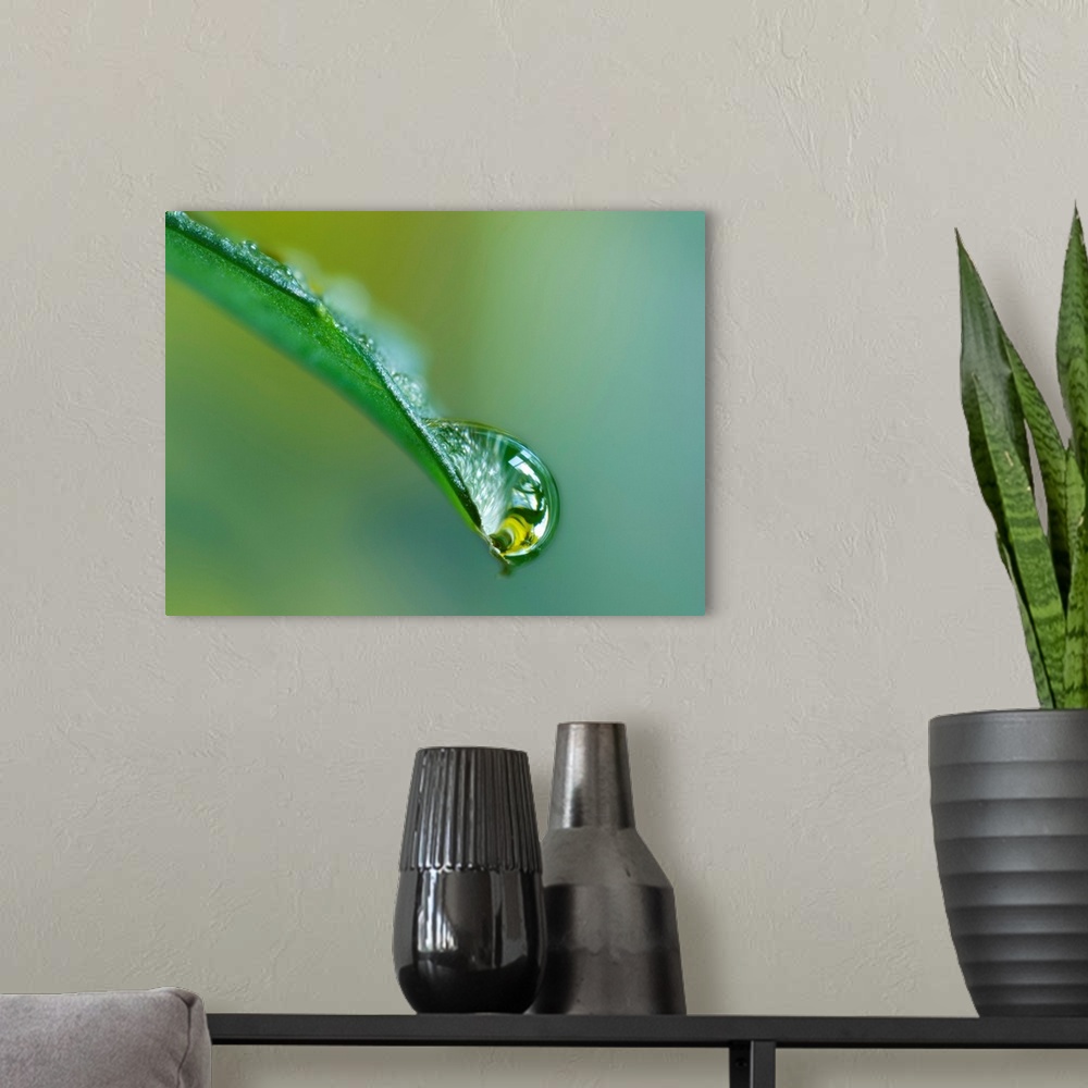 A modern room featuring Close Up Of Water Drop On Leaf