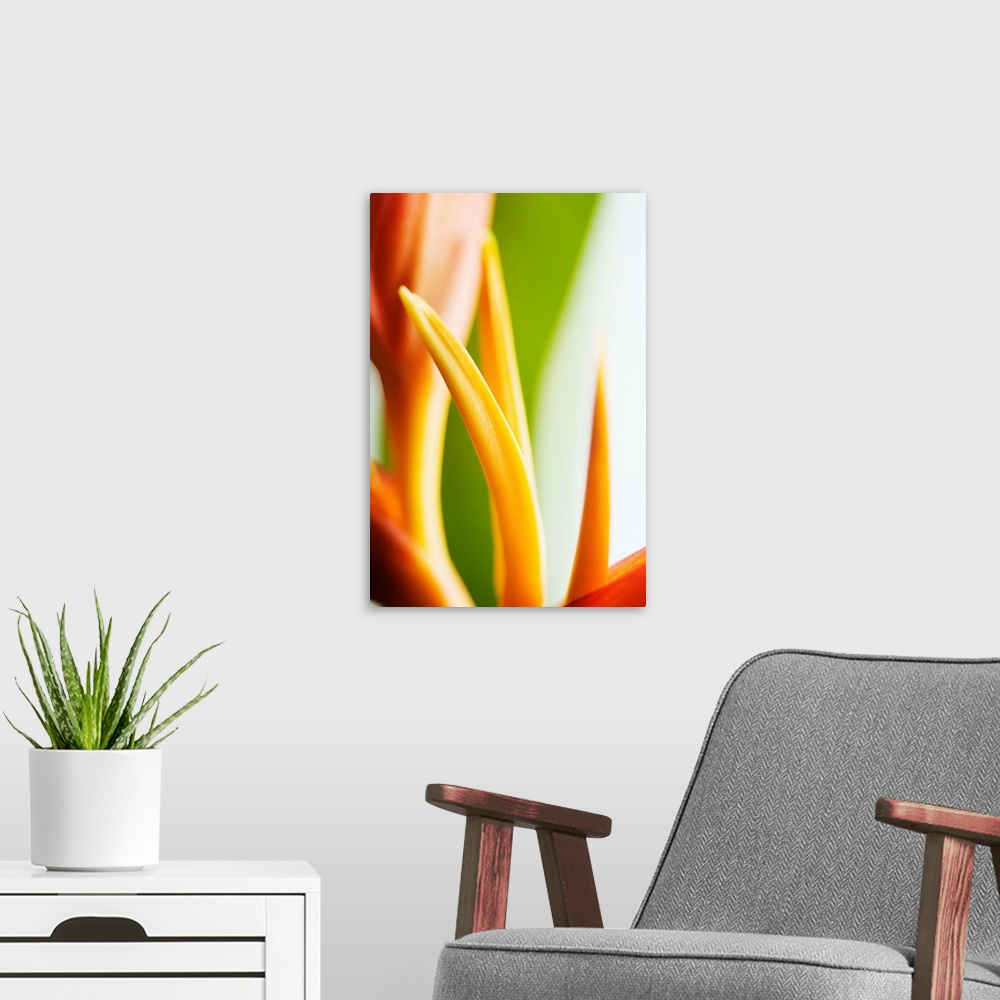 A modern room featuring Close-Up View Of Heliconia