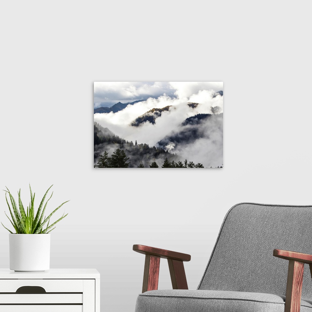 A modern room featuring Clouds in the forested valleys between Mestia and Ushguli, Upper Svaneti, Samegrelo-Zemo Svaneti,...