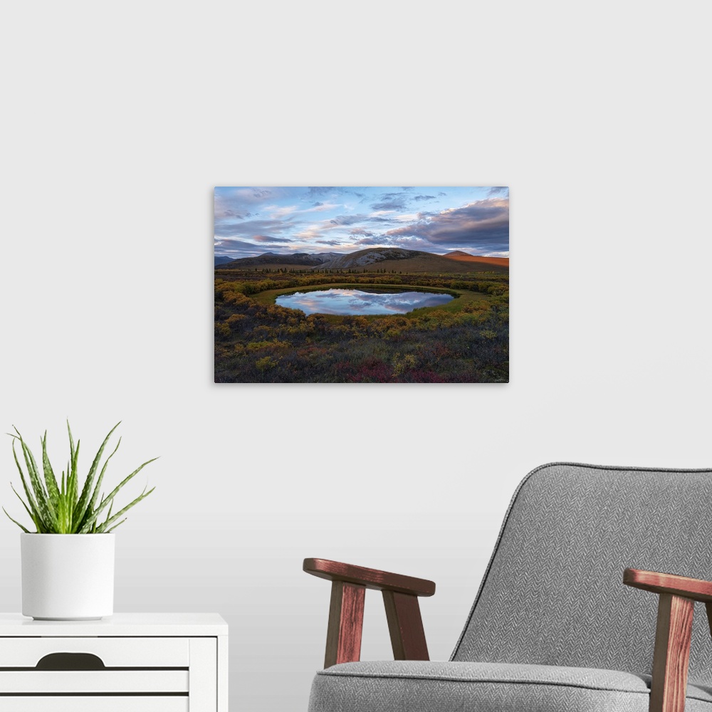 A modern room featuring Dusk light reflecting the cloudy, blue sky in a pond in the middle of the autumn colored tundra n...