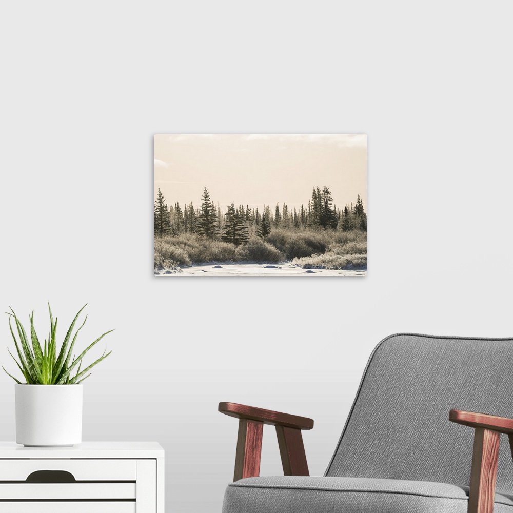 A modern room featuring Cold afternoon along the coast line of Hudson Bay. The trees have a thin layer of frost on them, ...