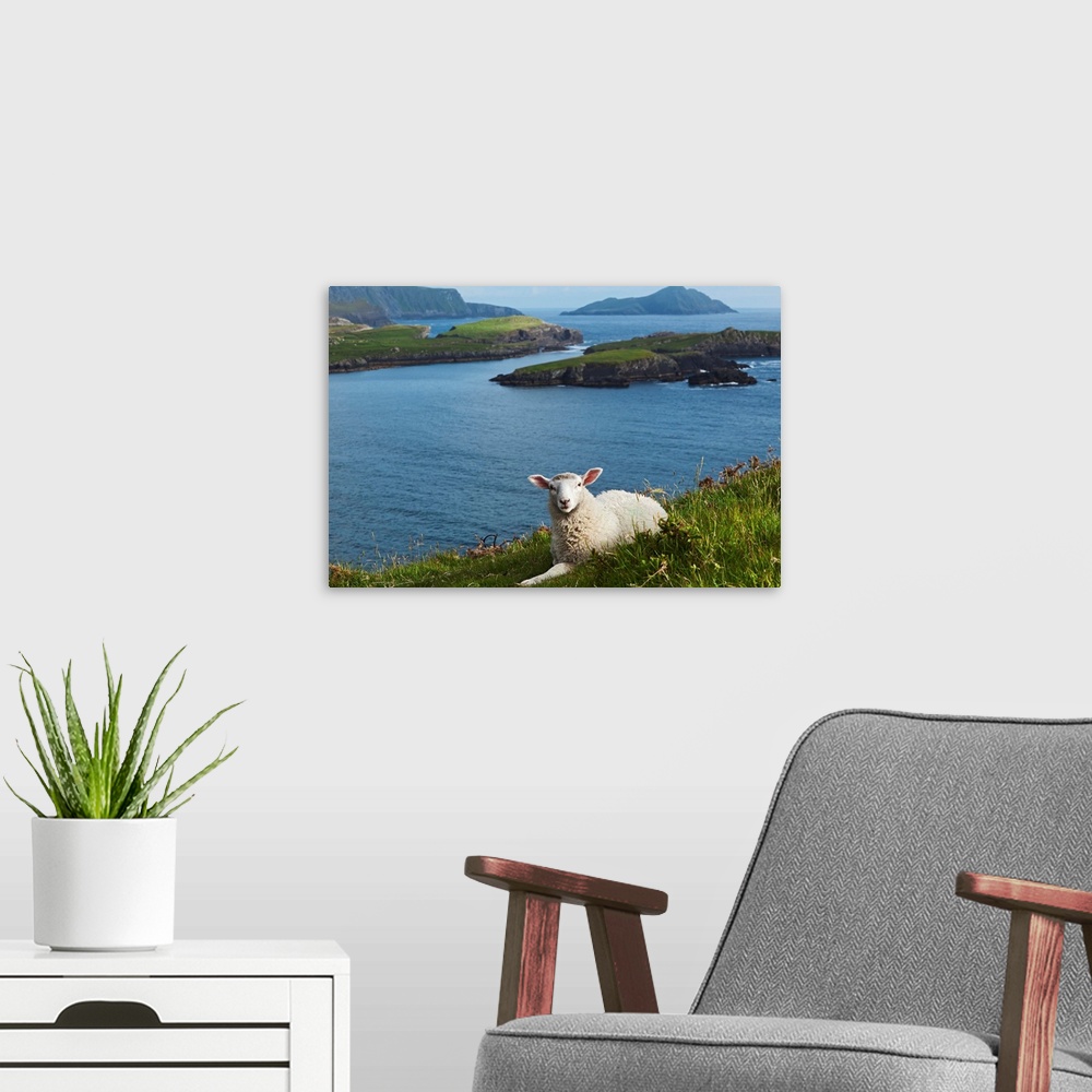 A modern room featuring Coast near Portmagee, Ring of Kerry. County Kerry, Ireland.